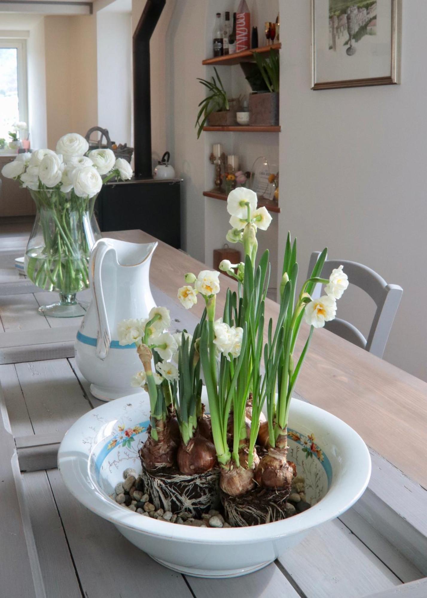 Casa Viola Bed And Breakfast Dimora Di Campagna Calice Ligure Exterior foto